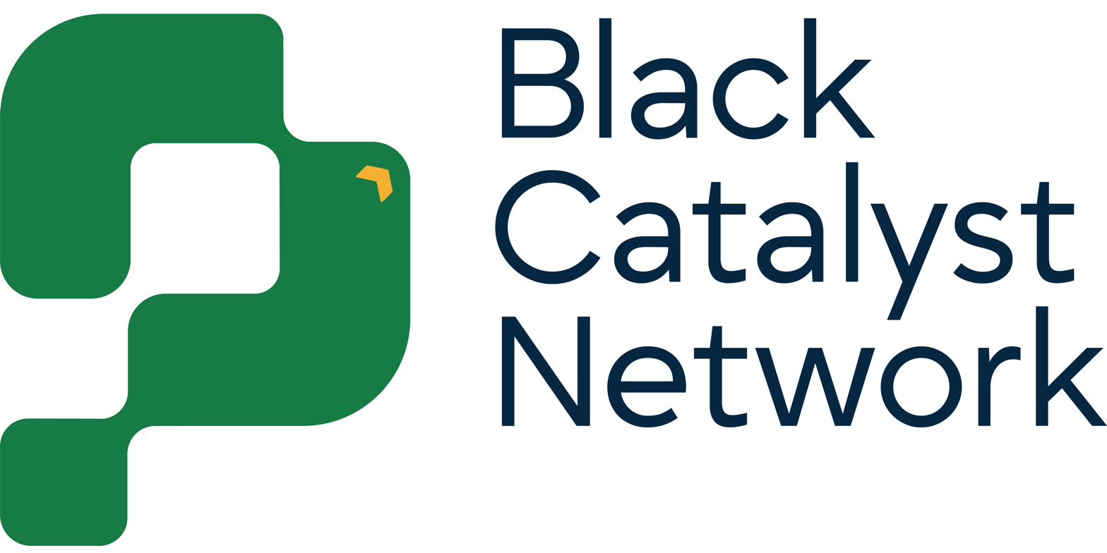 Black Catalyst Network